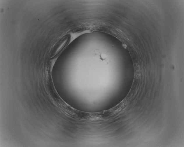 X0000073990456200609111537