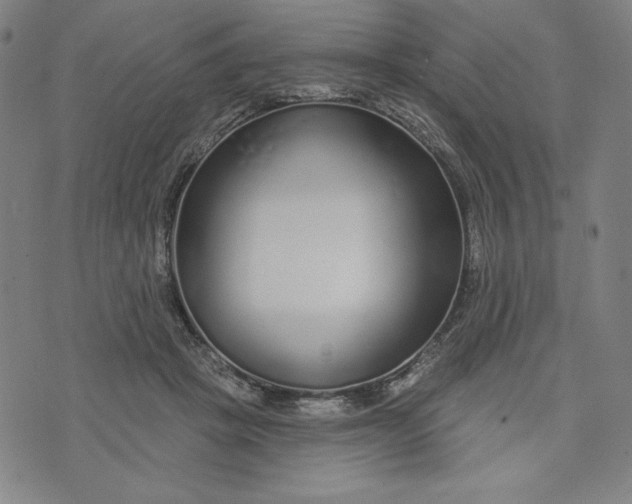 X0000073990457200609111537