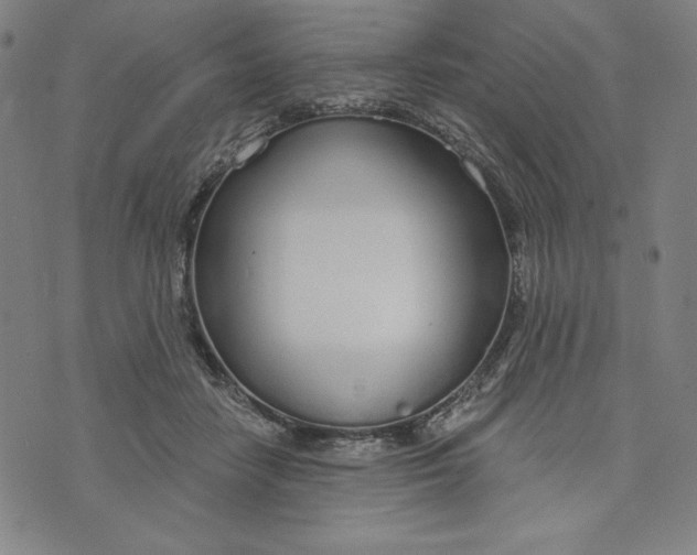 X0000073990458200609111537