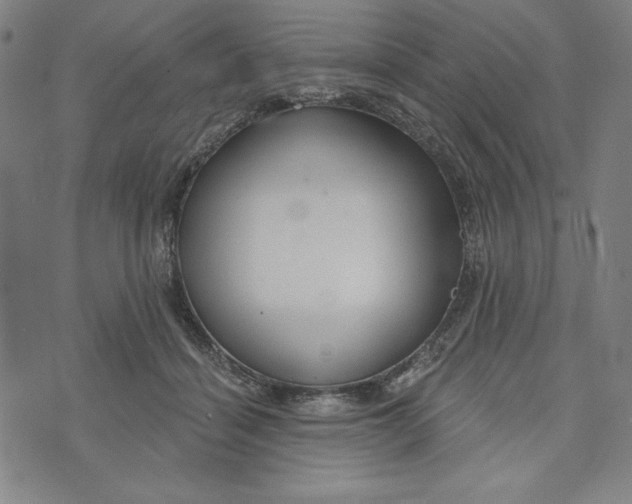 X0000073990460200609111537