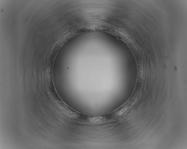 X0000073990461200609111537