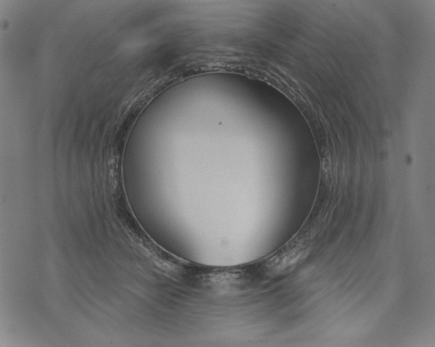 X0000073990462200609111537