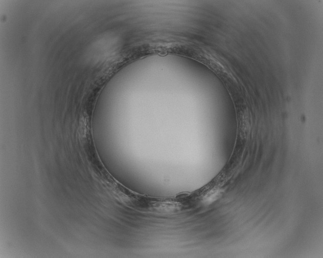 X0000073990463200609111537