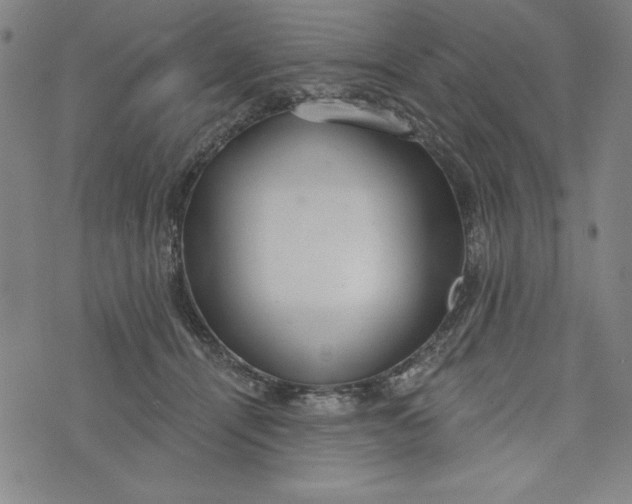 X0000073990464200609111537