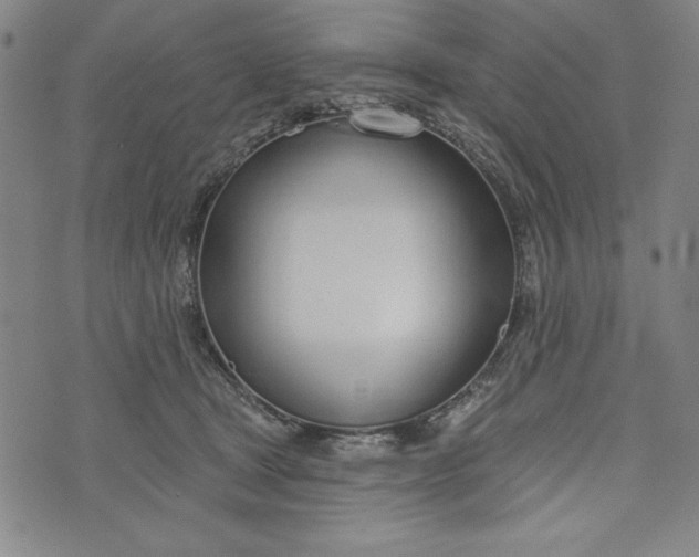 X0000073990465200609111537