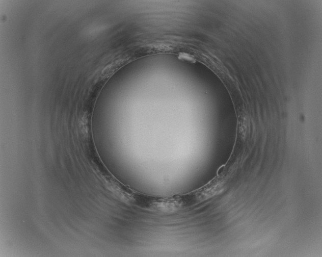 X0000073990466200609111537