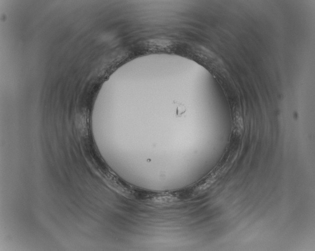 X0000073990468200609111538