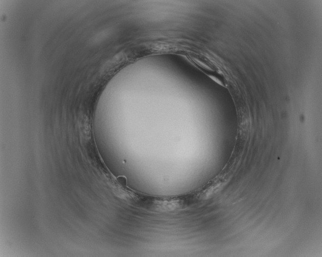 X0000073990469200609111538