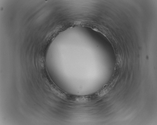 X0000073990470200609111538