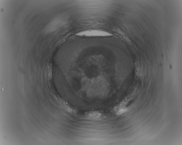 X0000073990471200609111538