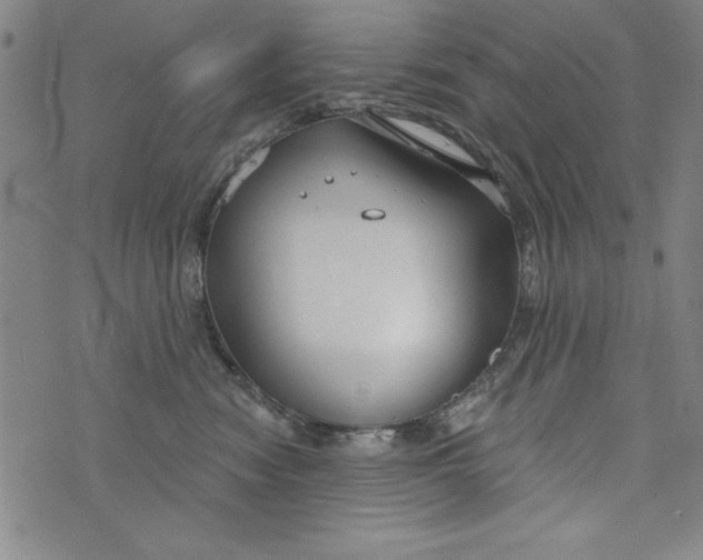 X0000073990474200609111538