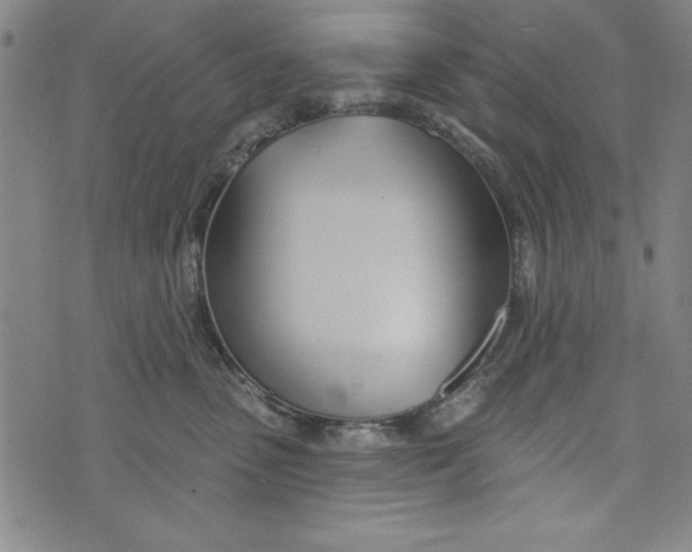 X0000073990475200609111538