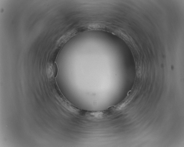 X0000073990478200609111538