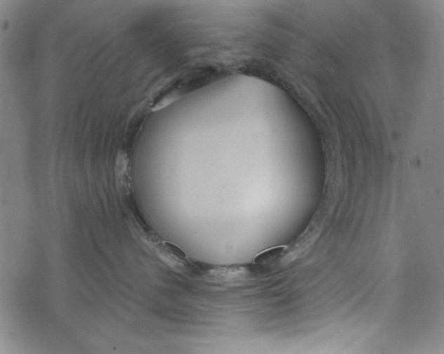 X0000073990480200609111538