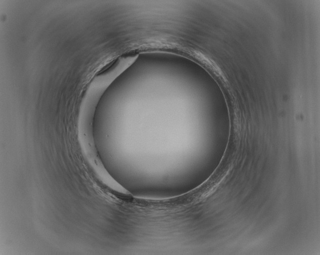 X0000073990481200609111537