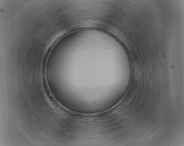 X0000073990482200609111537