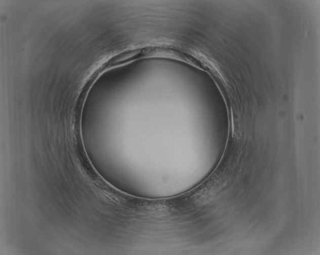 X0000073990483200609111537