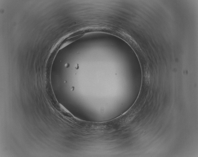 X0000073990484200609111537