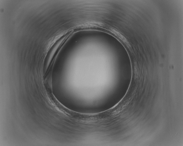 X0000073990485200609111537