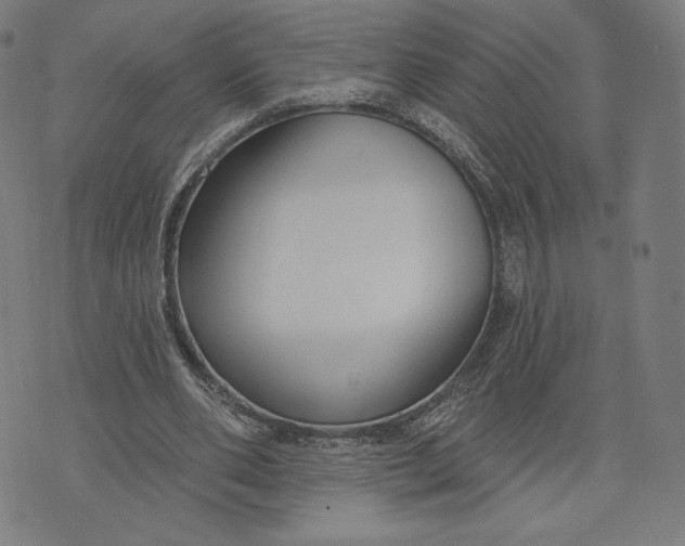 X0000073990486200609111537