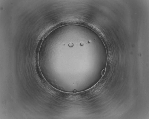 X0000073990487200609111537