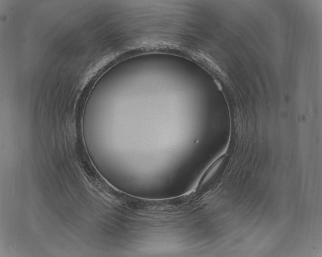 X0000073990488200609111537