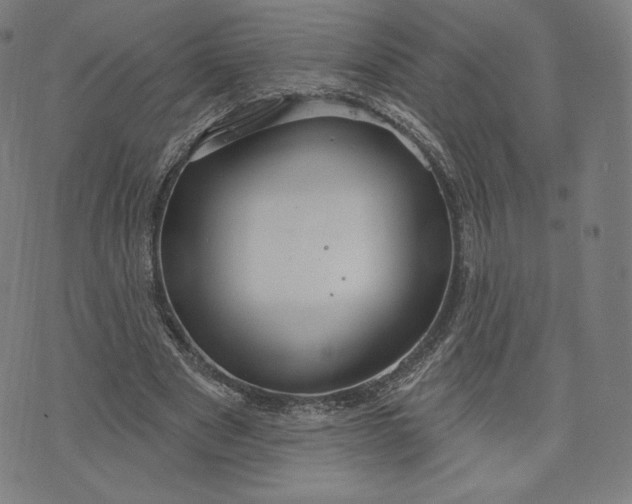 X0000073990489200609111537