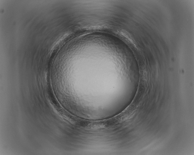 X0000073990491200609111537