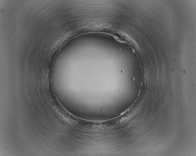 X0000073990493200609111537