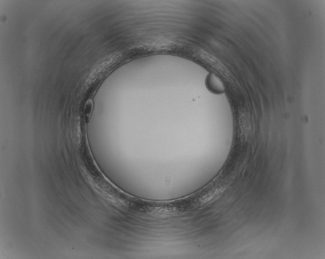 X0000073990494200609111537