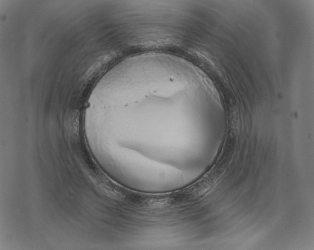 X0000073990495200609111537