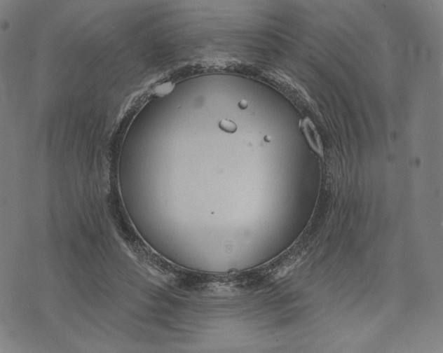 X0000073990496200609111537