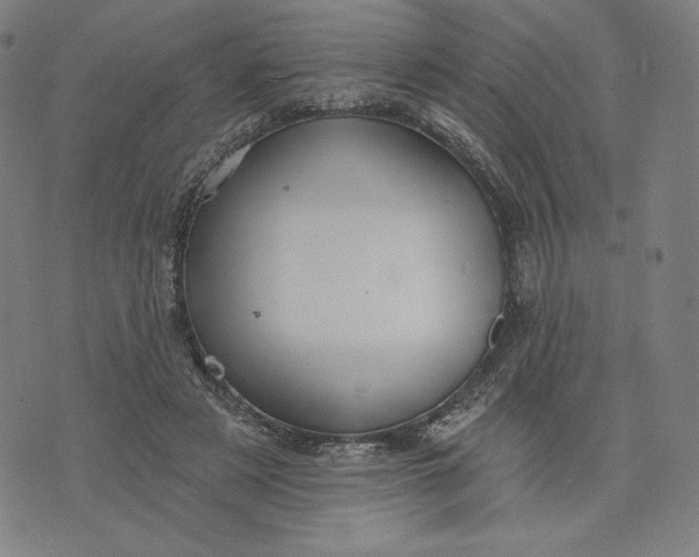 X0000073990497200609111537