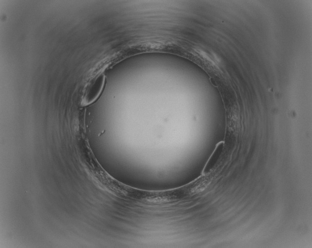 X0000073990500200609111537