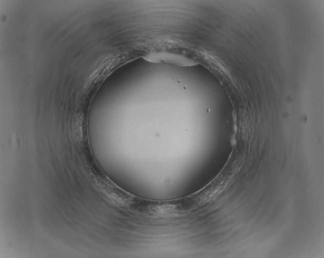 X0000073990501200609111537