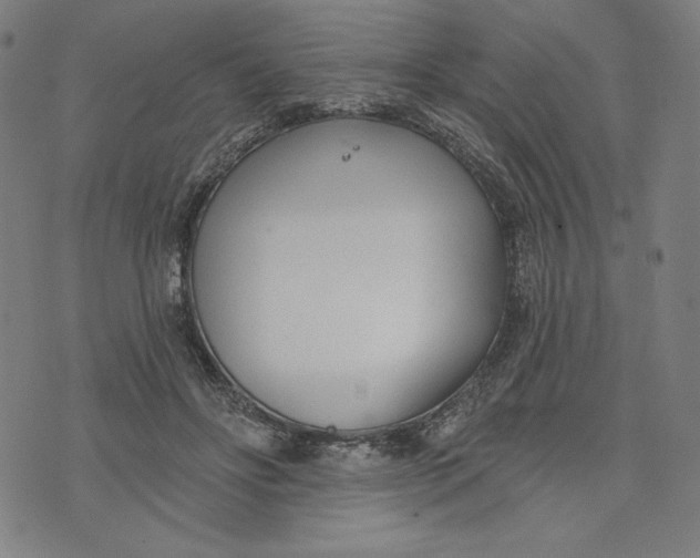 X0000073990502200609111537