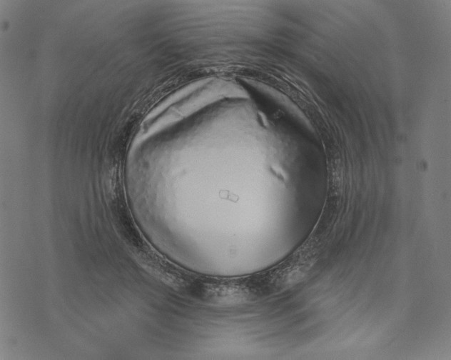 X0000073990503200609111537