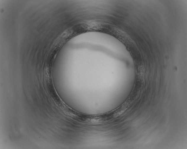 X0000073990506200609111537