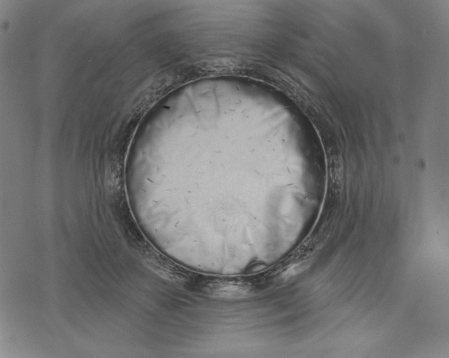 X0000073990507200609111537