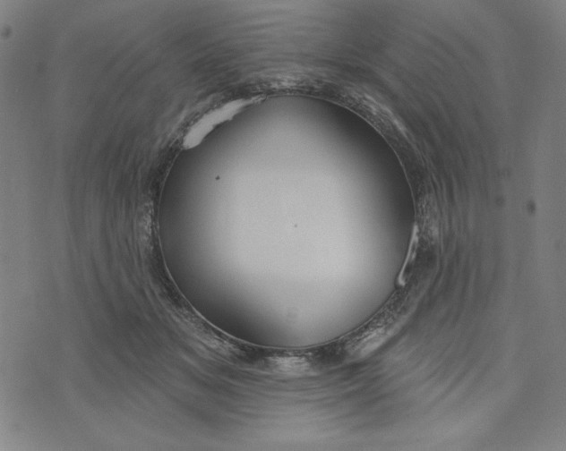 X0000073990509200609111536