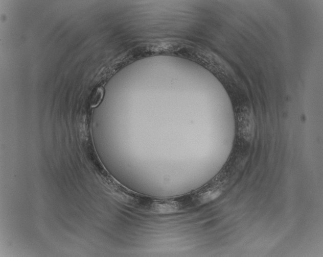 X0000073990510200609111536