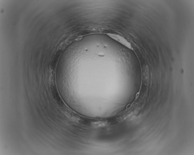 X0000073990511200609111536