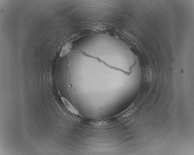 X0000073990512200609111536