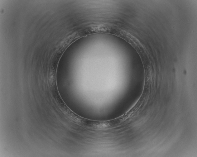 X0000073990513200609111536