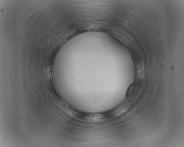 X0000073990514200609111536