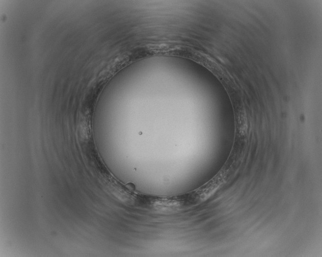 X0000073990515200609111536