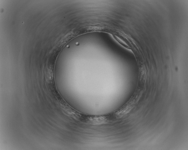 X0000073990517200609111536