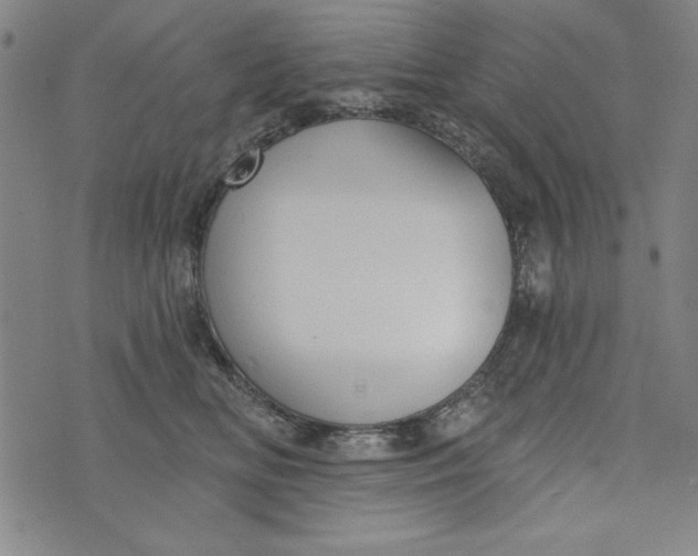 X0000073990518200609111536