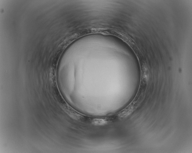 X0000073990519200609111536