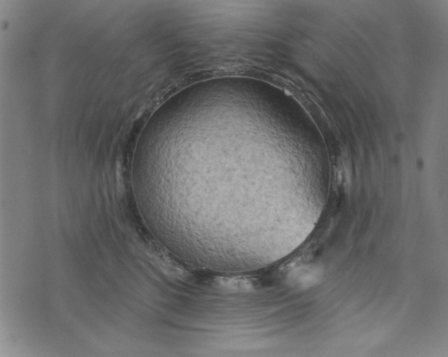 X0000073990520200609111536